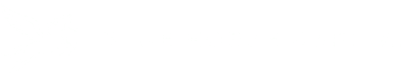 Blue Horse Capital